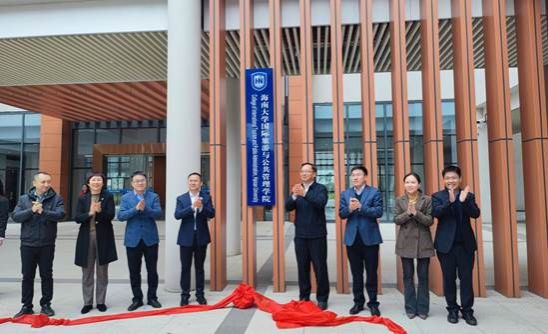 48c610536df6f908757196e67d8f7bf